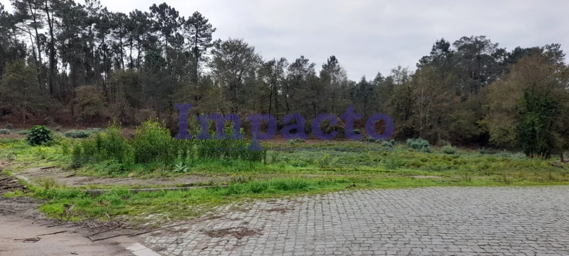 Terreno para Venda em Pinheiro da Bemposta, Travanca e Palmaz Foto 17