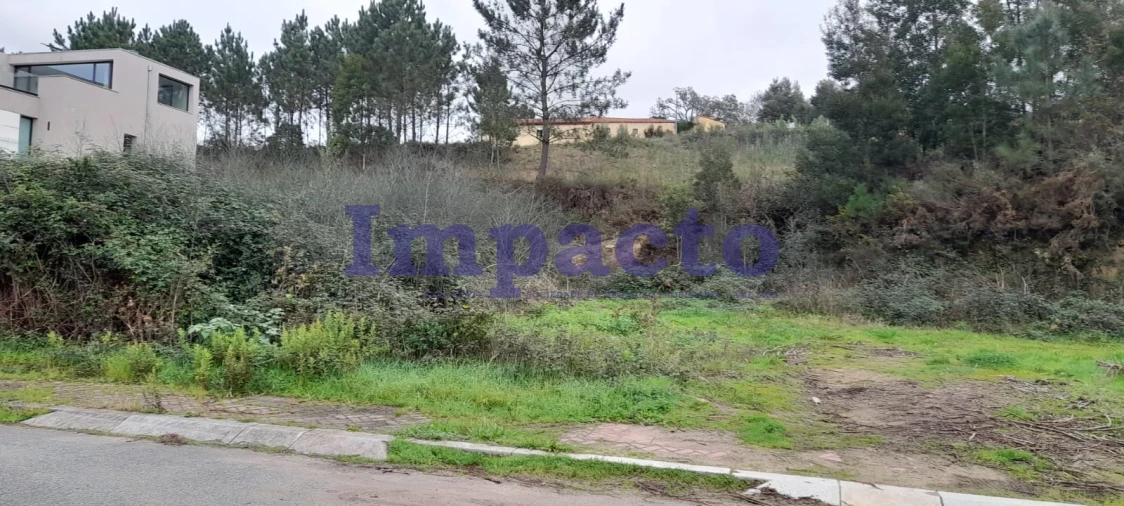 Terreno para Venda em Pinheiro da Bemposta, Travanca e Palmaz Foto 16
