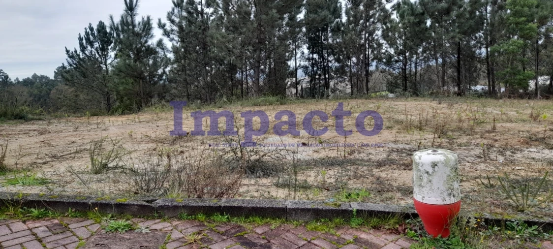 Terreno para Venda em Pinheiro da Bemposta, Travanca e Palmaz Foto 6