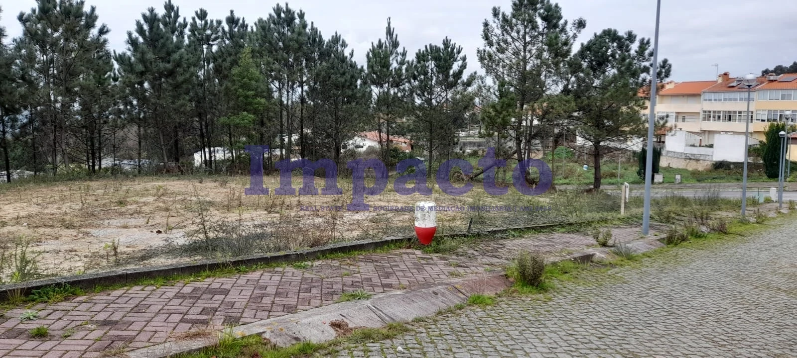 Terreno para Venda em Pinheiro da Bemposta, Travanca e Palmaz Foto 9