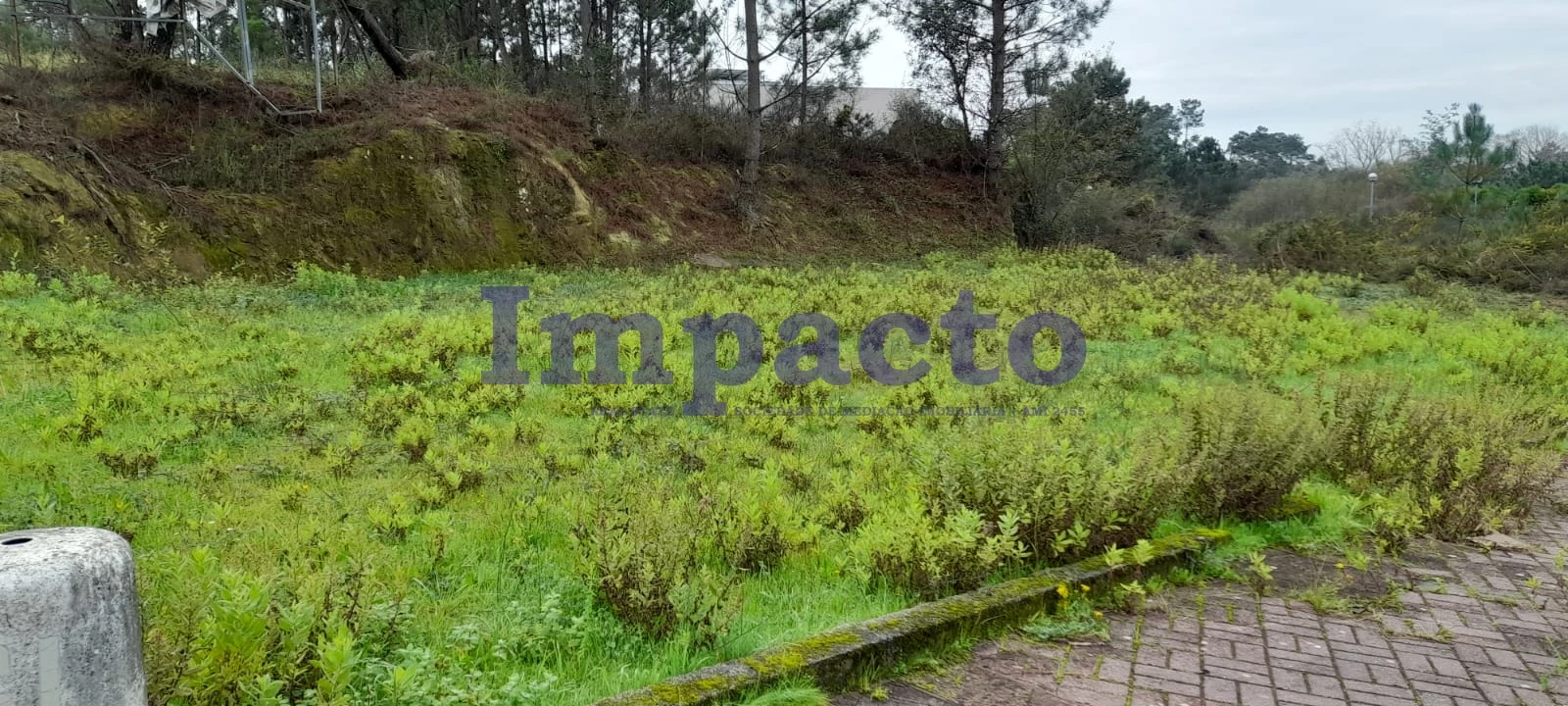 Terreno para Venda em Pinheiro da Bemposta, Travanca e Palmaz Foto 12