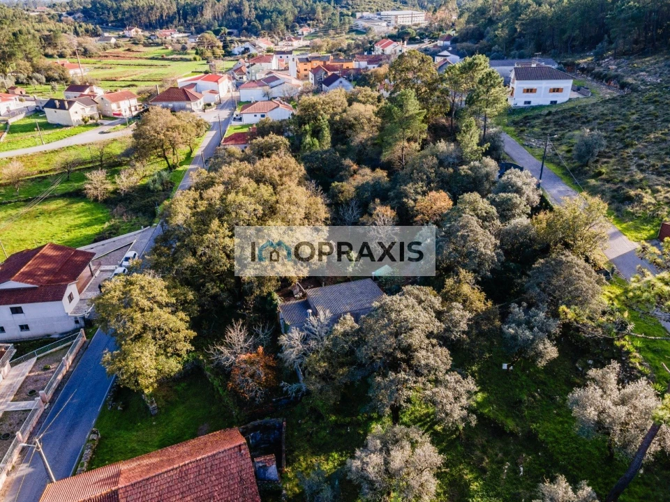 Moradia T2 para Venda em São Mamede Foto 7