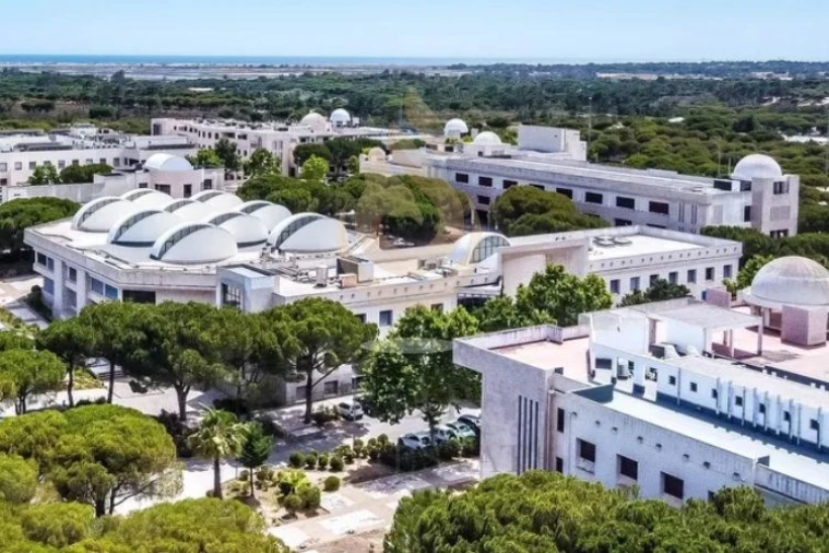 Apartamento T3 para Venda em Montenegro Foto 35