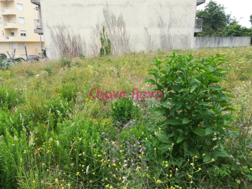 Terreno P/ Prédio para Venda em Alfena Foto 4