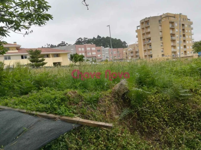 Terreno P/ Prédio para Venda em Alfena Foto 12