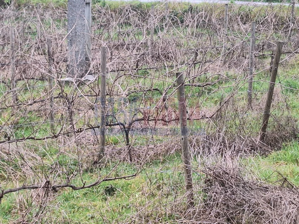 Terreno para Venda em Gove Foto 13