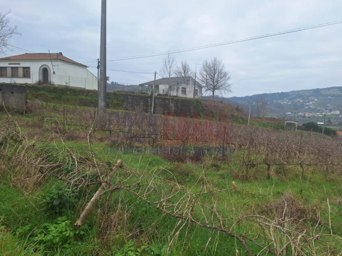 Terreno para Venda em Gove Foto 4