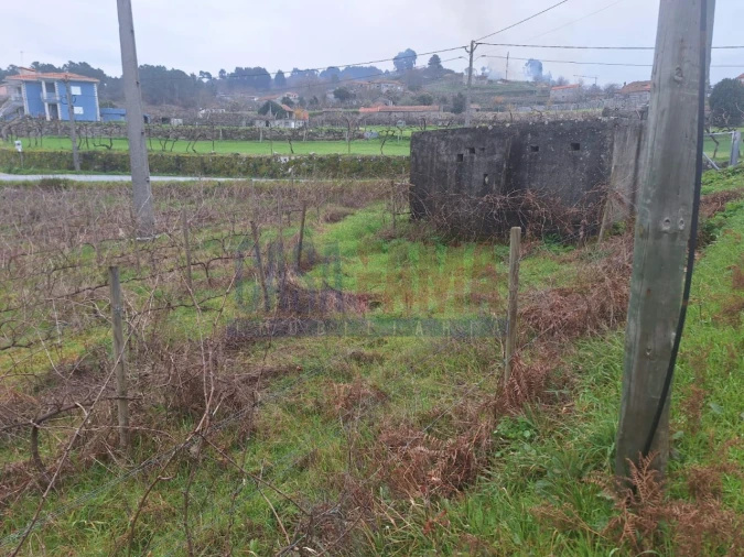 Terreno para Venda em Gove Foto 9