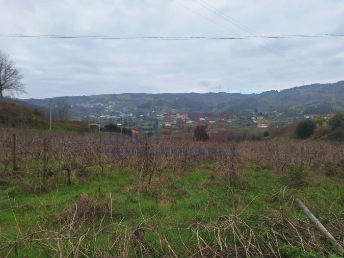 Terreno para Venda em Gove Foto 10