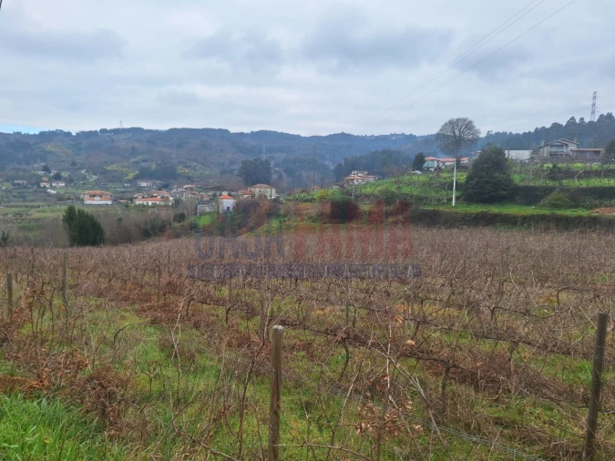 Terreno para Venda em Gove Foto 11