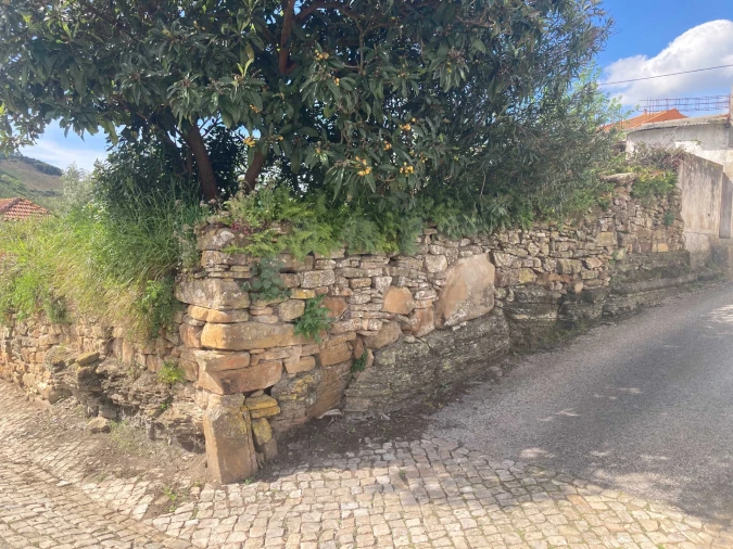 Terreno para Venda em Vila Verde dos Francos Foto 5