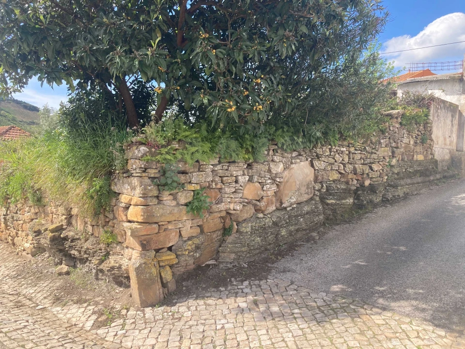 Terreno para Venda em Vila Verde dos Francos Foto 5