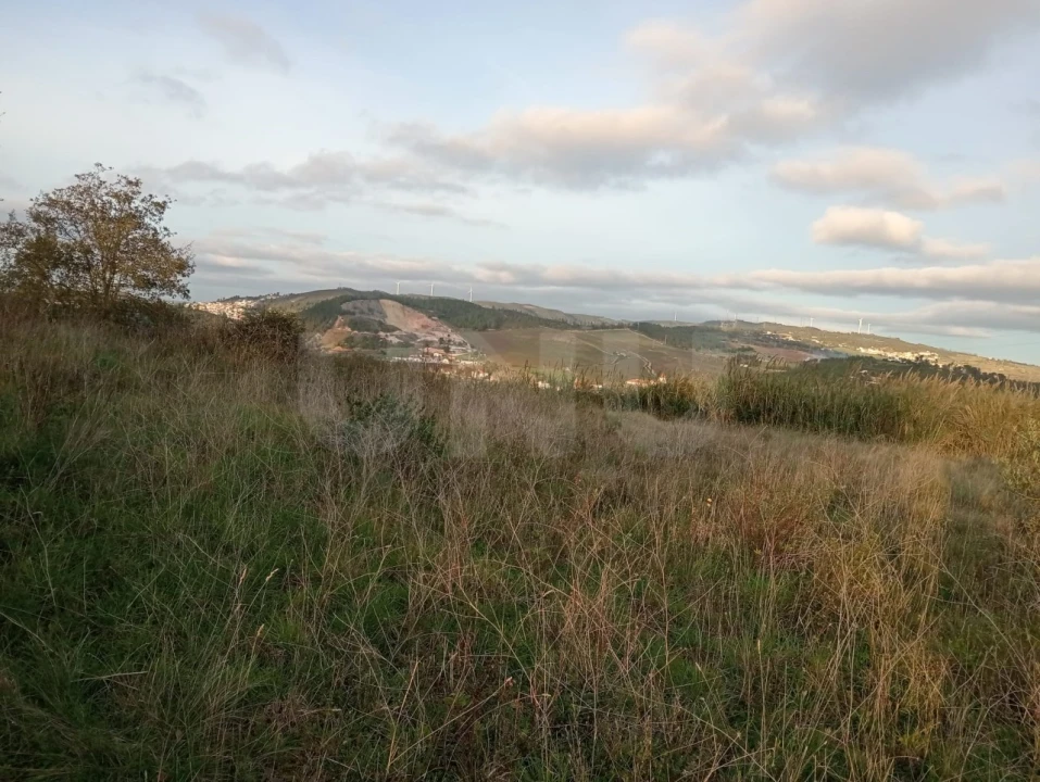 Terreno Agricola ou Rústico para Venda em Dois Portos e Runa Foto 2