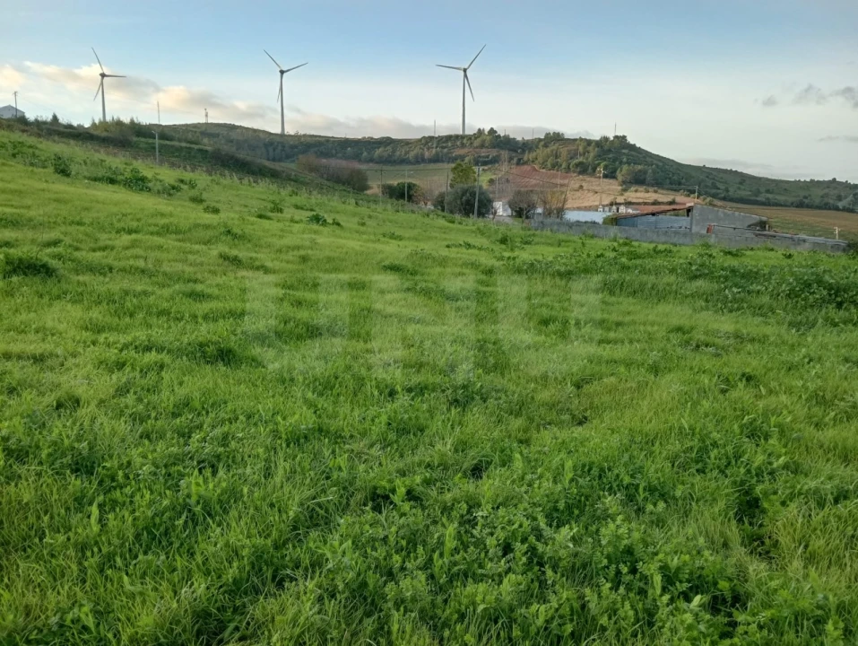 Terreno Agricola ou Rústico para Venda em Dois Portos e Runa Foto 3