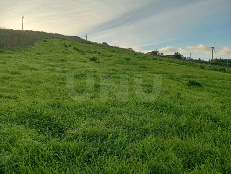 Terreno Agricola ou Rústico para Venda em Dois Portos e Runa Foto 5