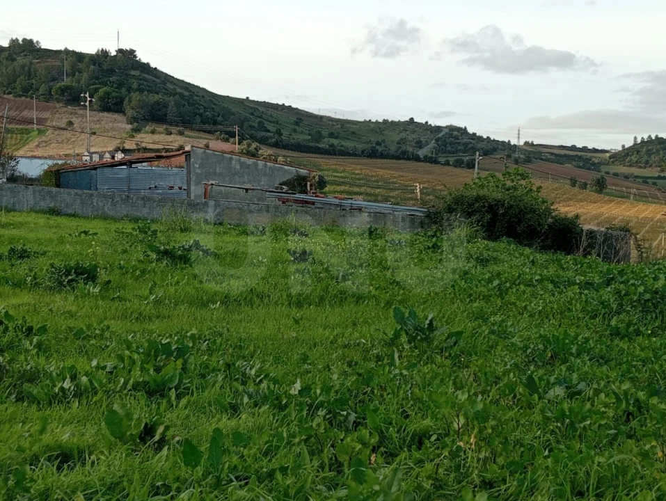 Terreno Agricola ou Rústico para Venda em Dois Portos e Runa Foto 6
