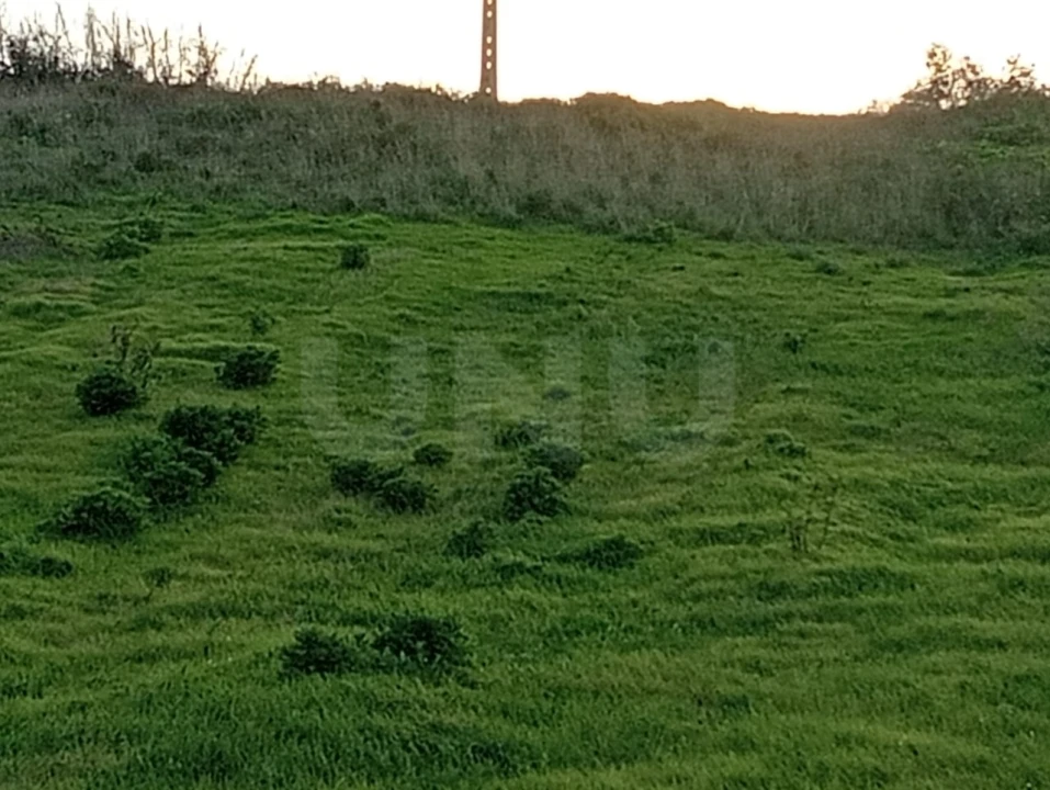 Terreno Agricola ou Rústico para Venda em Dois Portos e Runa Foto 8