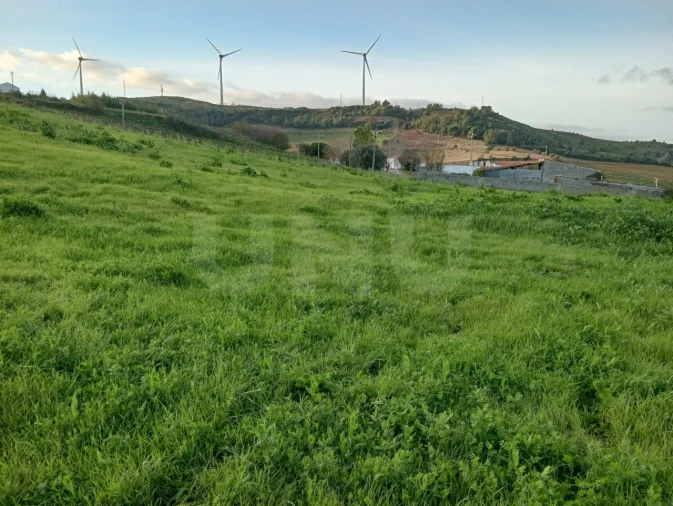 Terreno Agricola ou Rústico para Venda em Dois Portos e Runa Foto 3