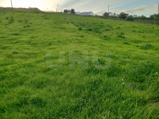 Terreno Agricola ou Rústico para Venda em Dois Portos e Runa Foto 4
