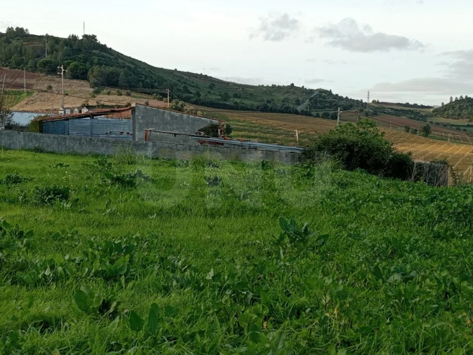 Terreno Agricola ou Rústico para Venda em Dois Portos e Runa Foto 6