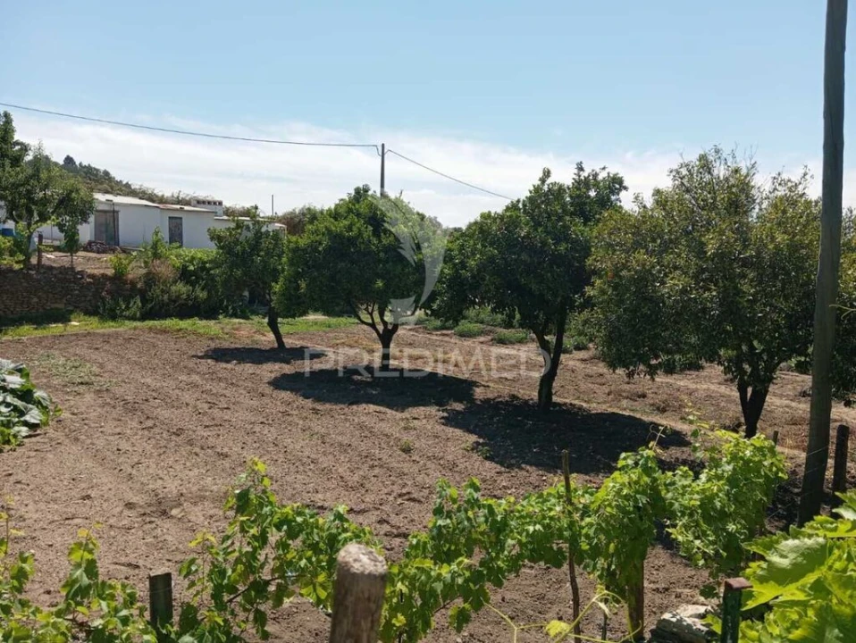 Quinta para Venda em Alegrete Foto 12