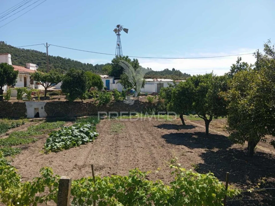 Quinta para Venda em Alegrete Foto 6