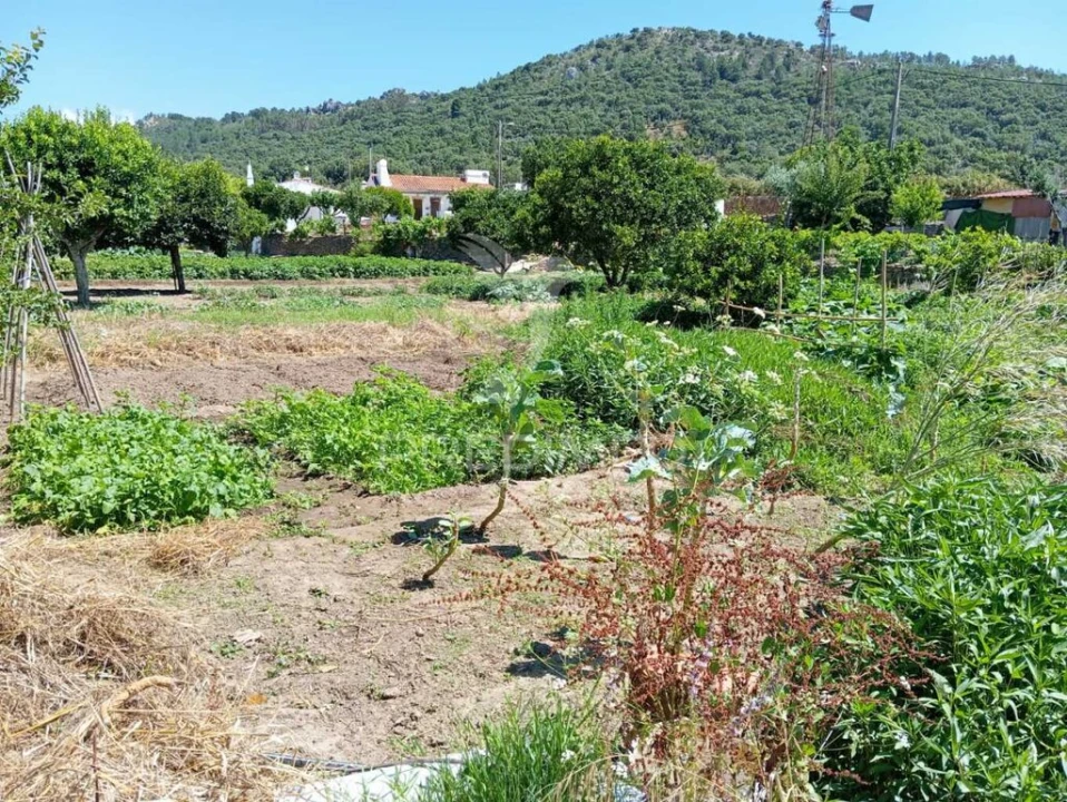 Quinta para Venda em Alegrete Foto 5