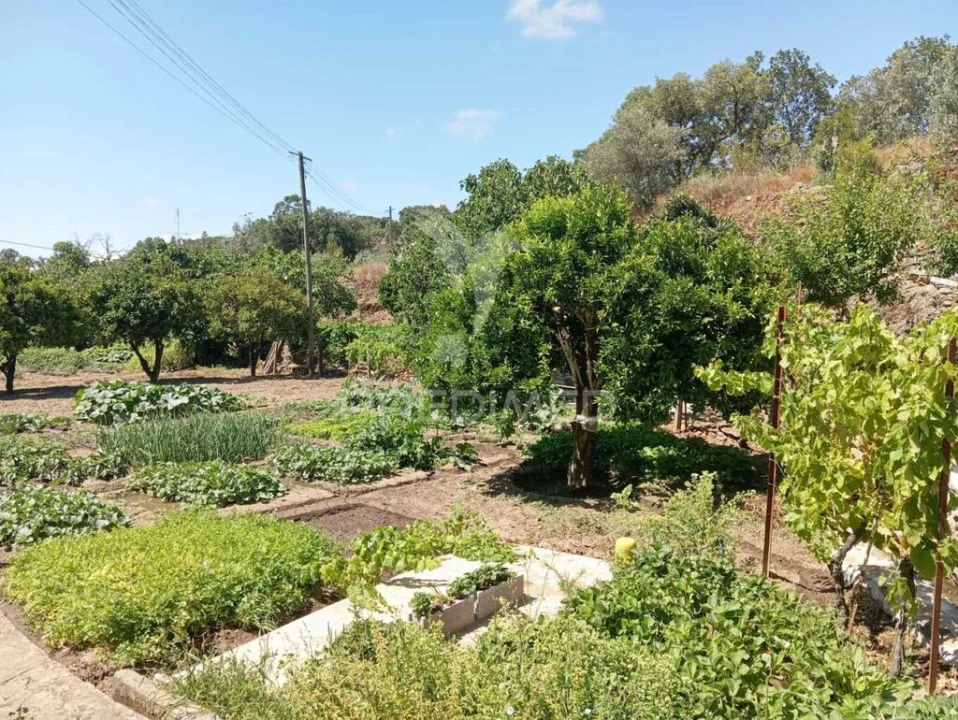 Quinta para Venda em Alegrete Foto 13