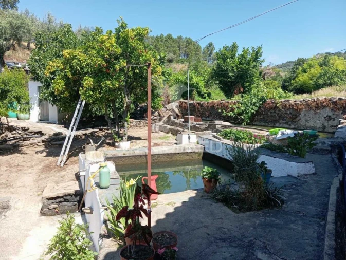 Quinta para Venda em Alegrete Foto 8