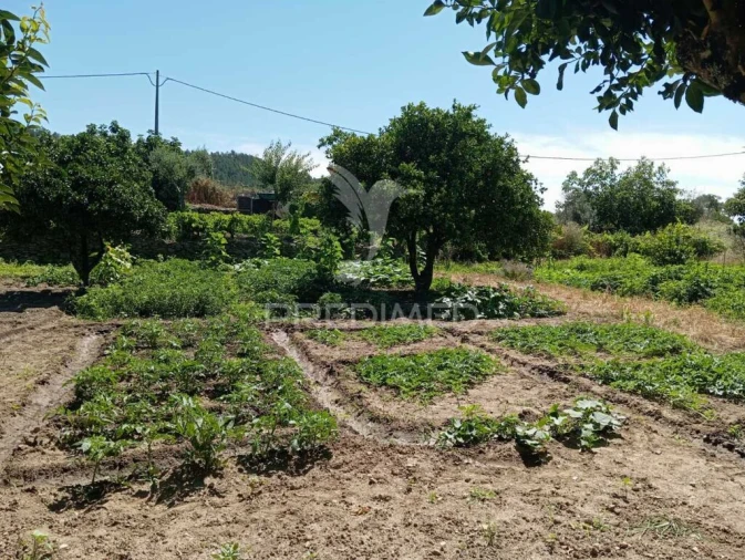 Quinta para Venda em Alegrete Foto 9