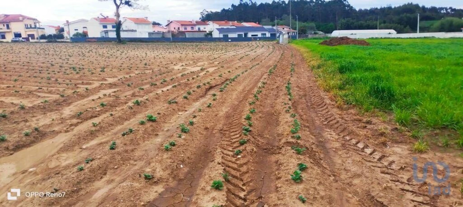 Terreno para Venda em Aveleda Foto 8