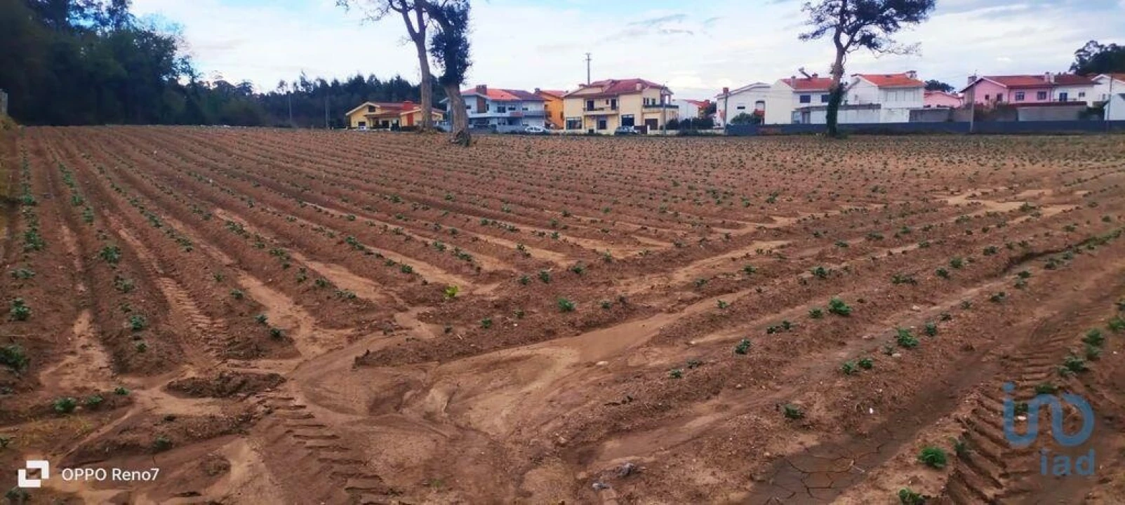 Terreno para Venda em Aveleda Foto 7