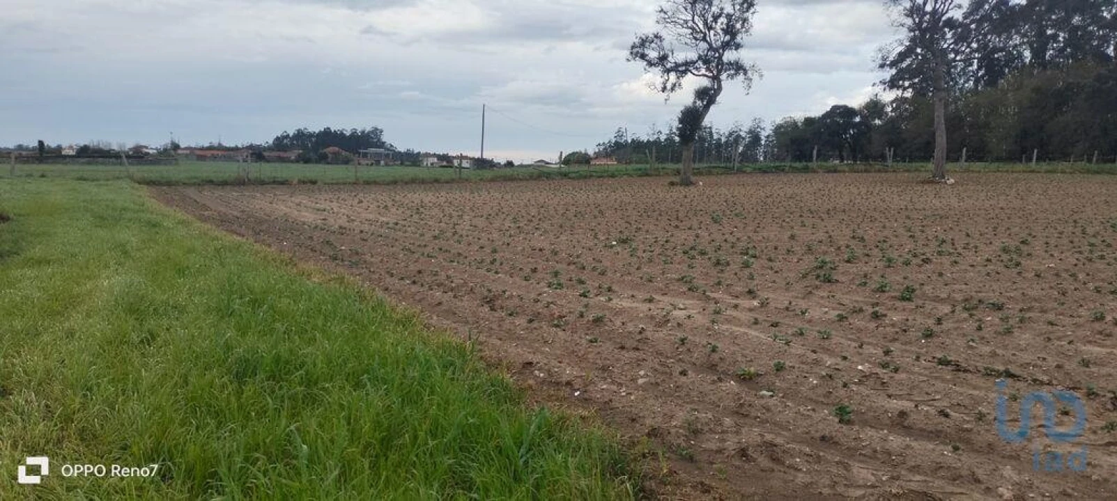 Terreno para Venda em Aveleda Foto 15