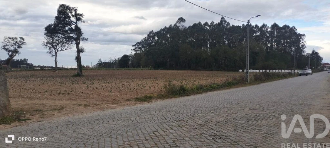 Terreno para Venda em Aveleda Foto 23
