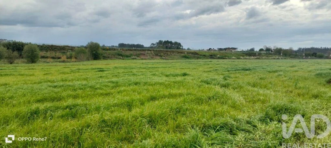 Terreno para Venda em Aveleda Foto 28