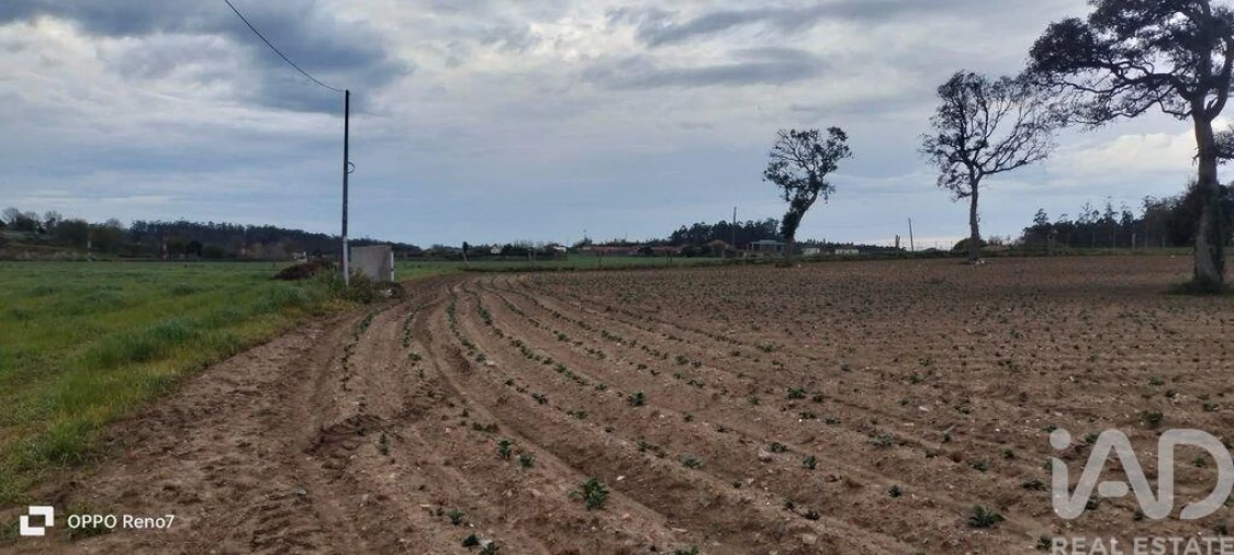 Terreno para Venda em Aveleda Foto 27