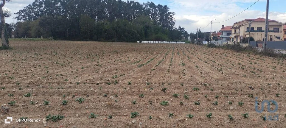 Terreno para Venda em Aveleda Foto 12