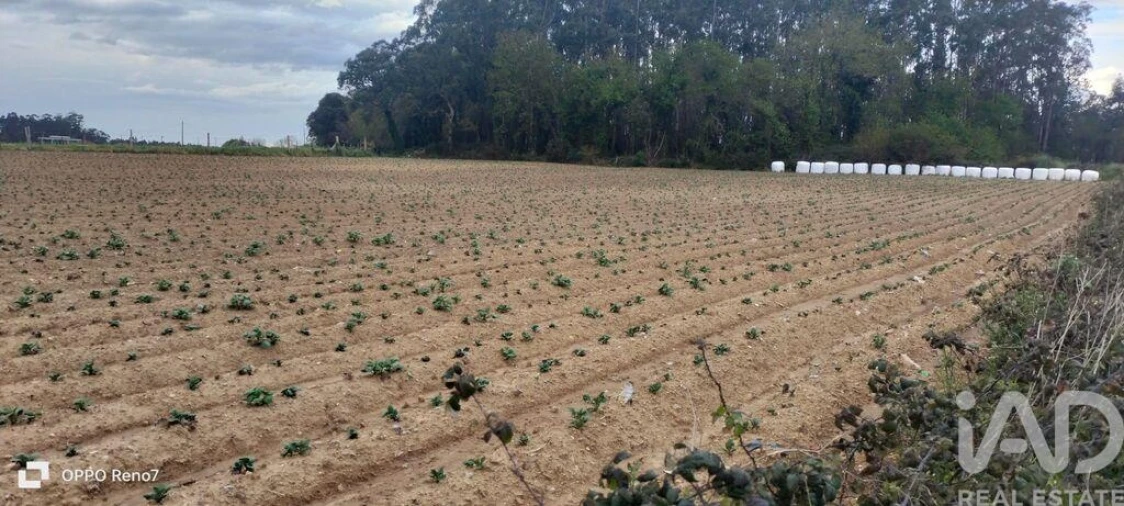 Terreno para Venda em Aveleda Foto 26