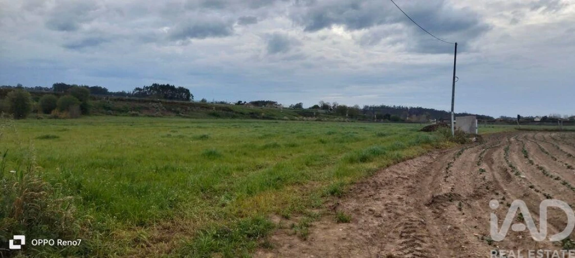 Terreno para Venda em Aveleda Foto 21
