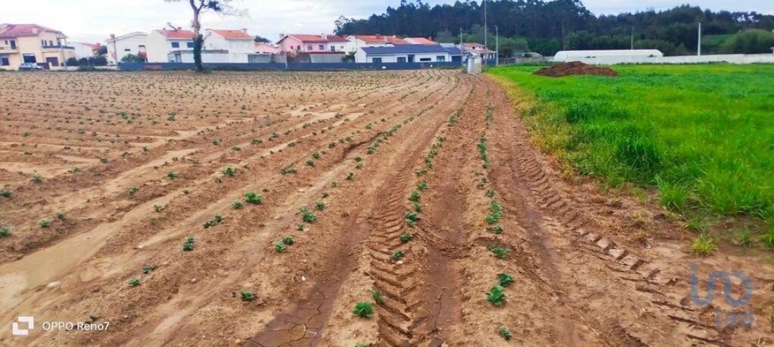 Terreno para Venda em Aveleda Foto 8