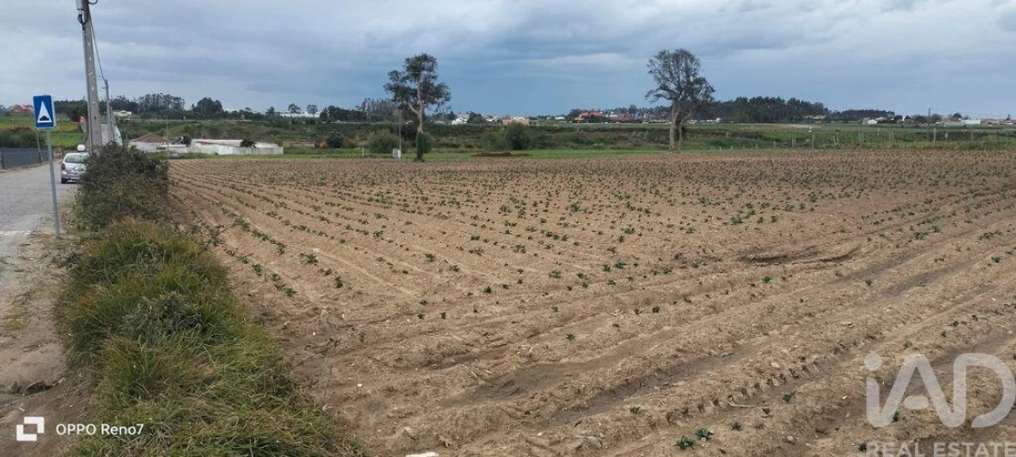 Terreno para Venda em Aveleda Foto 20