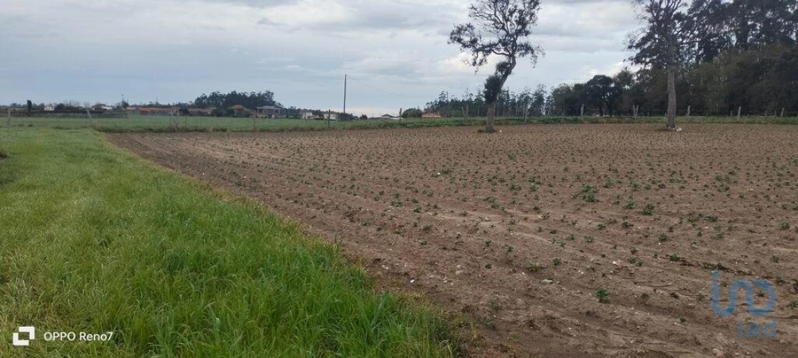 Terreno para Venda em Aveleda Foto 15