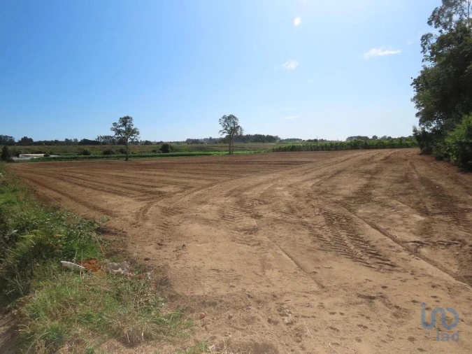 Terreno para Venda em Aveleda Foto 10