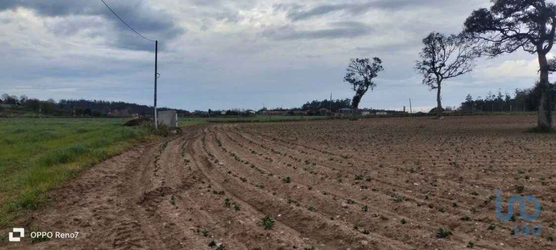 Terreno para Venda em Aveleda Foto 13