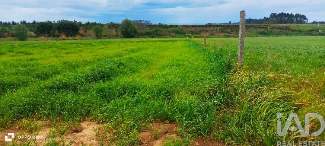 Terreno para Venda em Aveleda Foto 29