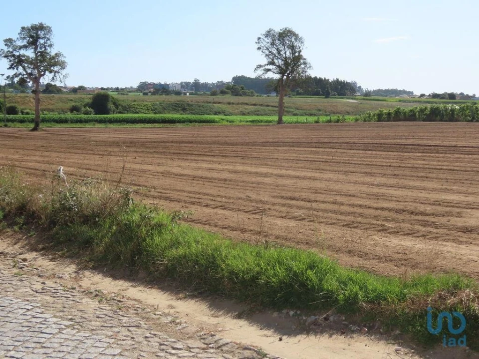 Terreno para Venda em Aveleda Foto 2