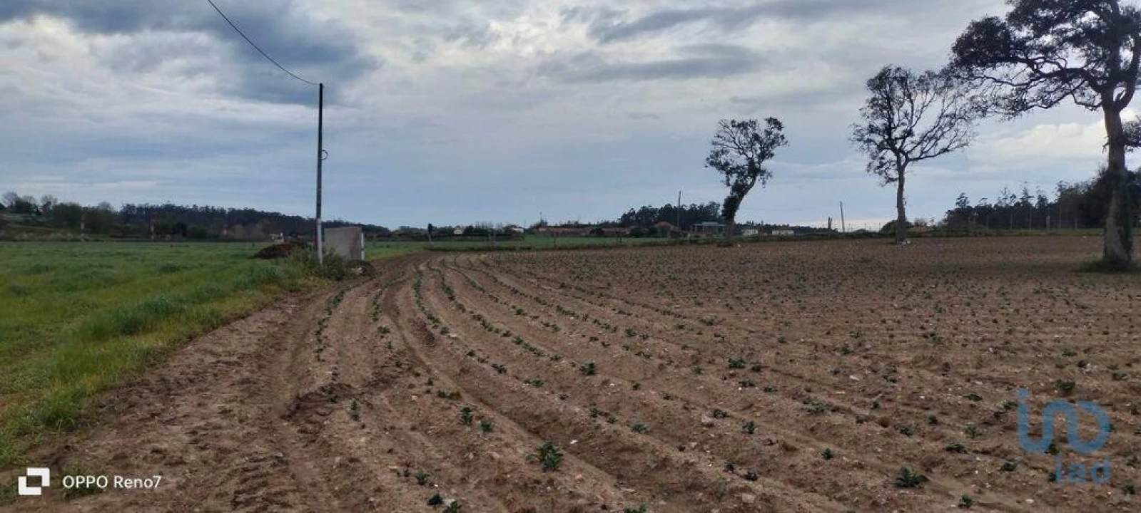 Terreno para Venda em Aveleda Foto 13