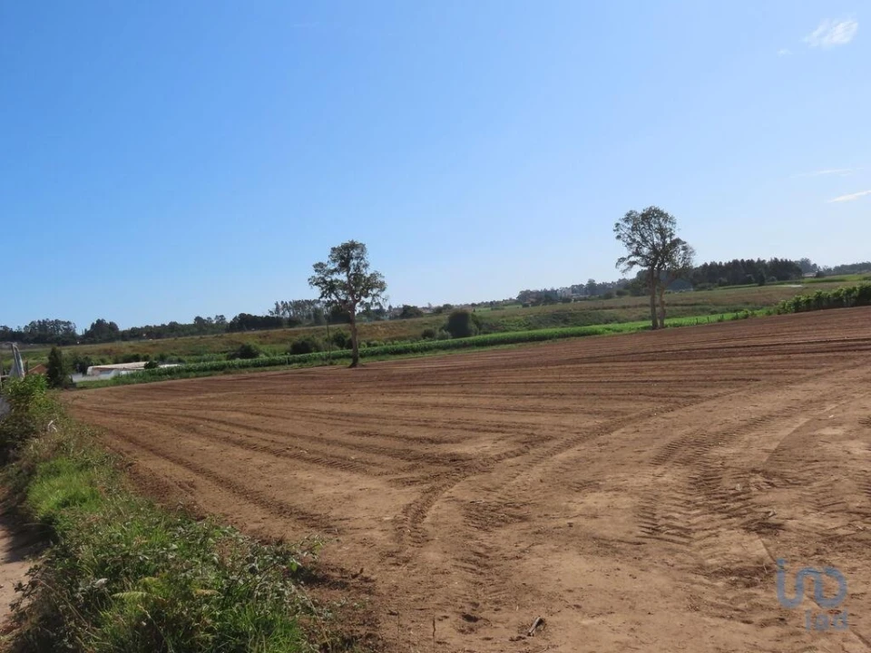 Terreno para Venda em Aveleda Foto 4