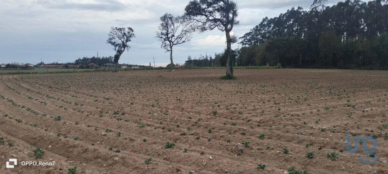 Terreno para Venda em Aveleda Foto 14