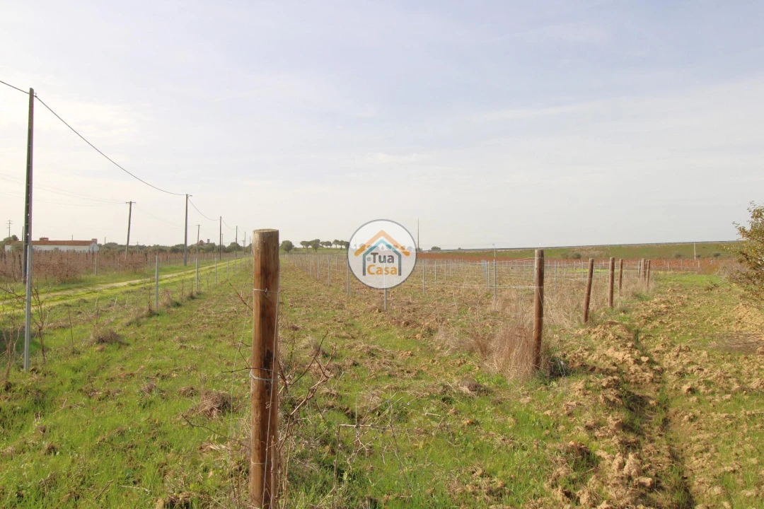 Quinta T4 para Venda em Redondo Foto 37